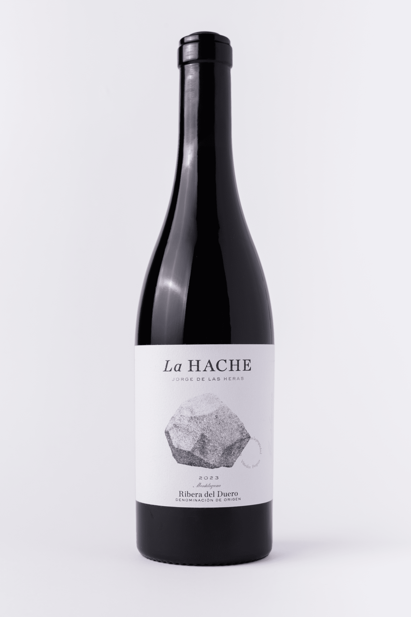 Monte Laguna La Hache 2023