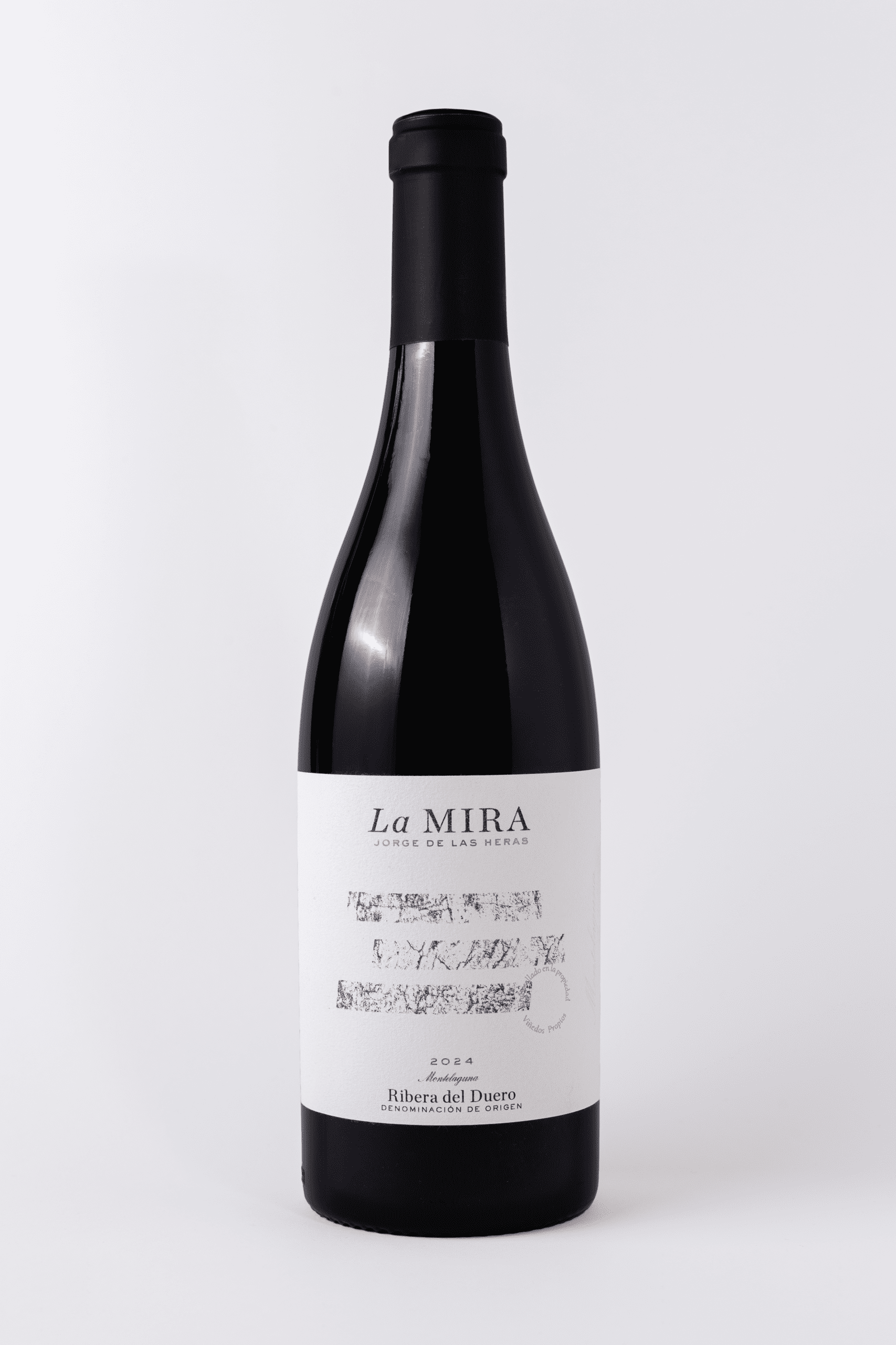 Monte Laguna La Mira 2024